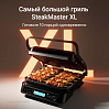Гриль РЕДМОНД SteakMaster GM306, фото