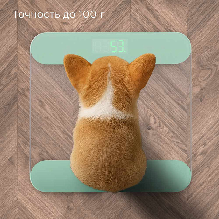 Напольные весы РЕДМОНД SB1811 (зеленый) - фото 4 - купить в интернет-магазине Редмонд