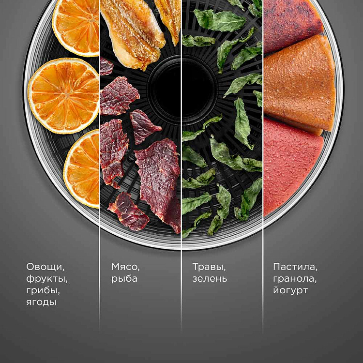 Электросушилка РЕДМОНД FD1103 (черный) - фото 2 - купить в интернет-магазине Редмонд