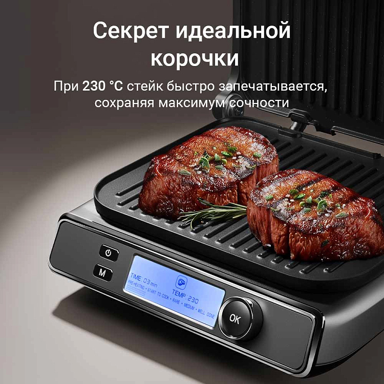 Гриль-духовка РЕДМОНД SteakMaster GM301 - фото 7 - купить в интернет-магазине Редмонд