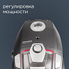 Пылесос РЕДМОНД RV-325, фото